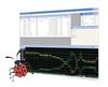 Embedded Operating Systems