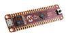 MICROCHIP DM182029