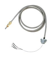 OMEGA CFTF-000-RTD-2-60-2